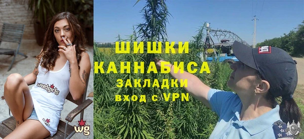 ПСИЛОЦИБИНОВЫЕ ГРИБЫ Балахна