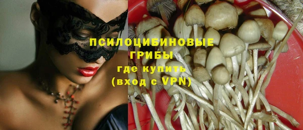 ПСИЛОЦИБИНОВЫЕ ГРИБЫ Балахна