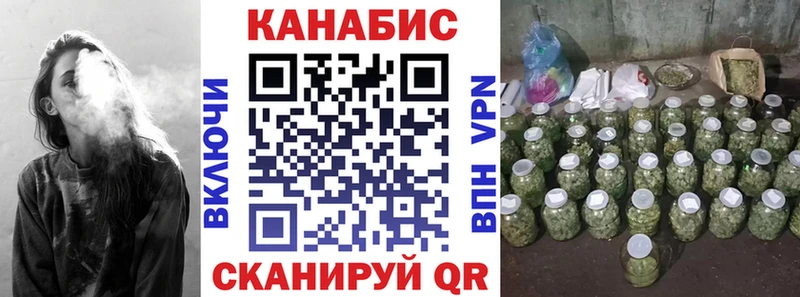 Конопля сатива  Кохма 